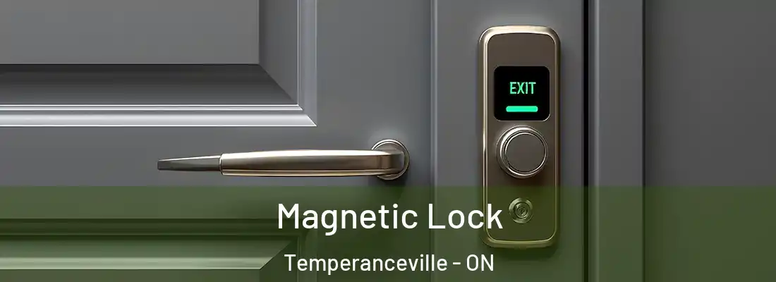  Magnetic Lock Temperanceville - ON