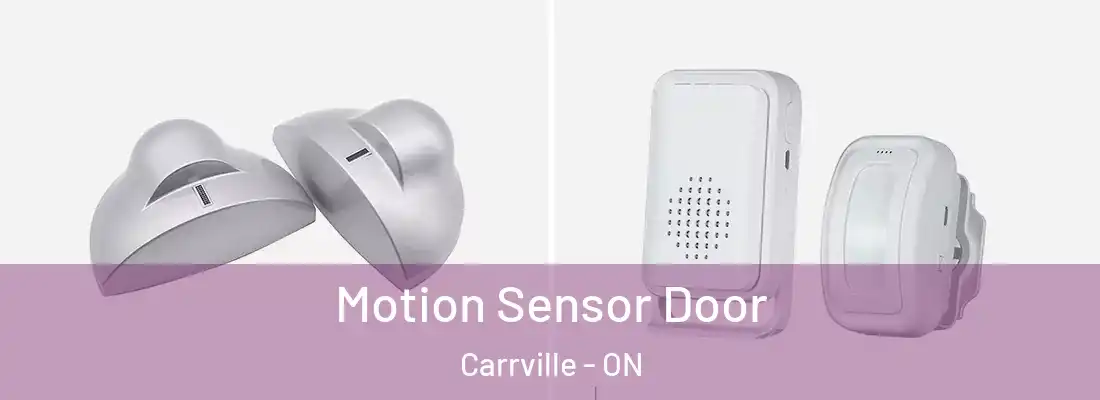  Motion Sensor Door Carrville - ON