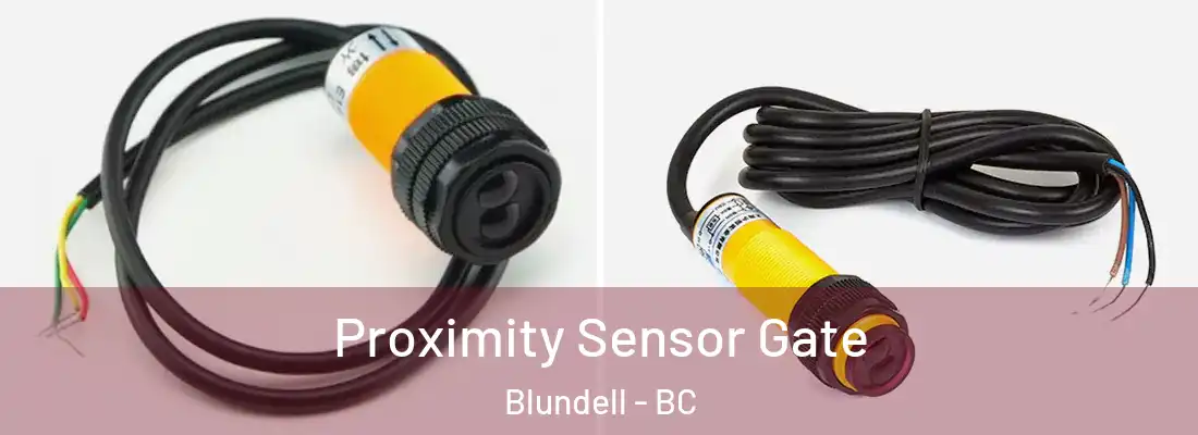  Proximity Sensor Gate Blundell - BC