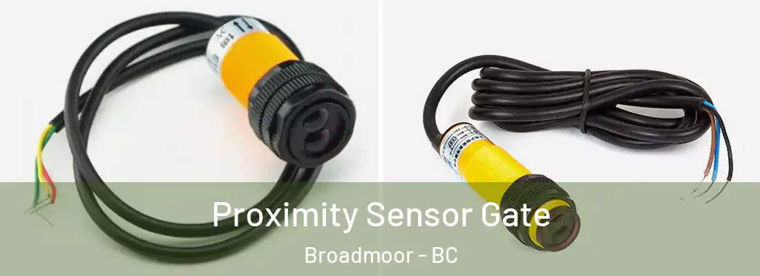  Proximity Sensor Gate Broadmoor - BC