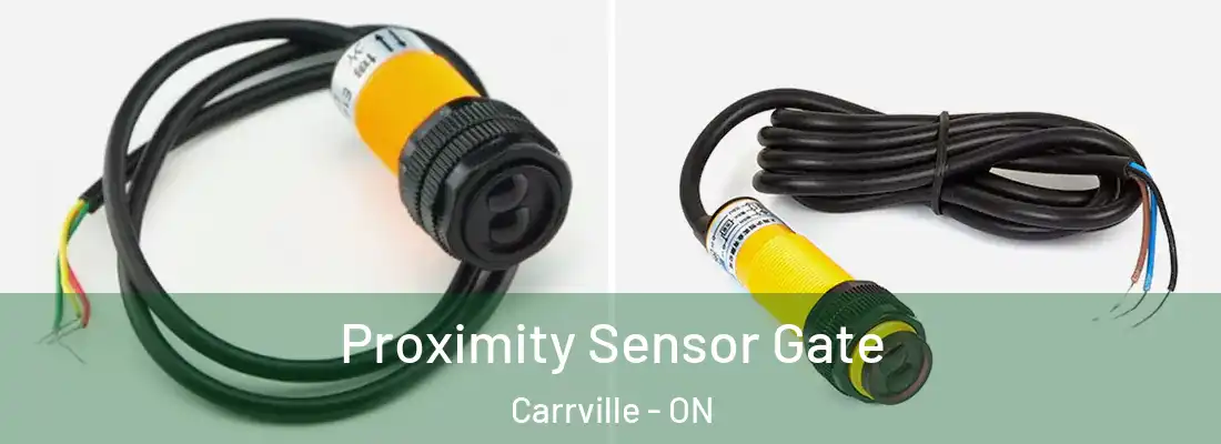  Proximity Sensor Gate Carrville - ON