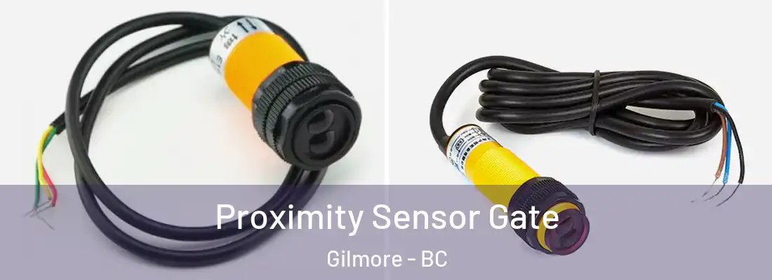  Proximity Sensor Gate Gilmore - BC