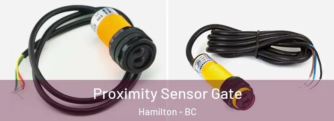  Proximity Sensor Gate Hamilton - BC