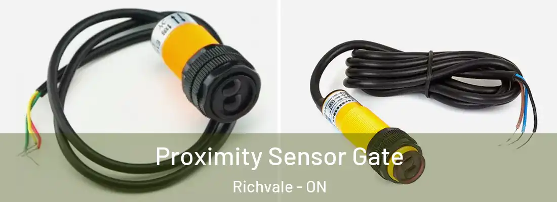  Proximity Sensor Gate Richvale - ON