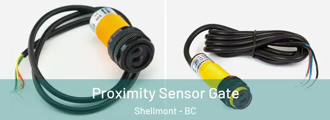  Proximity Sensor Gate Shellmont - BC