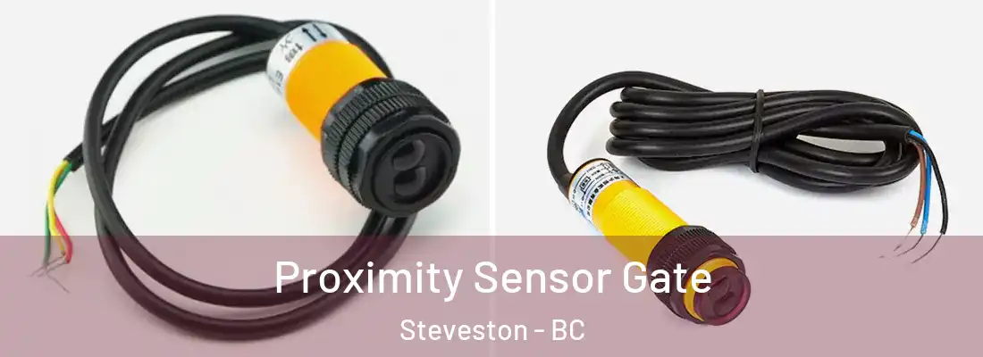  Proximity Sensor Gate Steveston - BC
