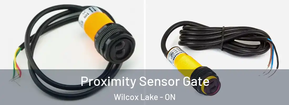  Proximity Sensor Gate Wilcox Lake - ON