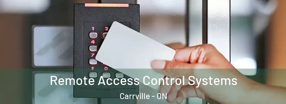  Remote Access Control Systems Carrville - ON
