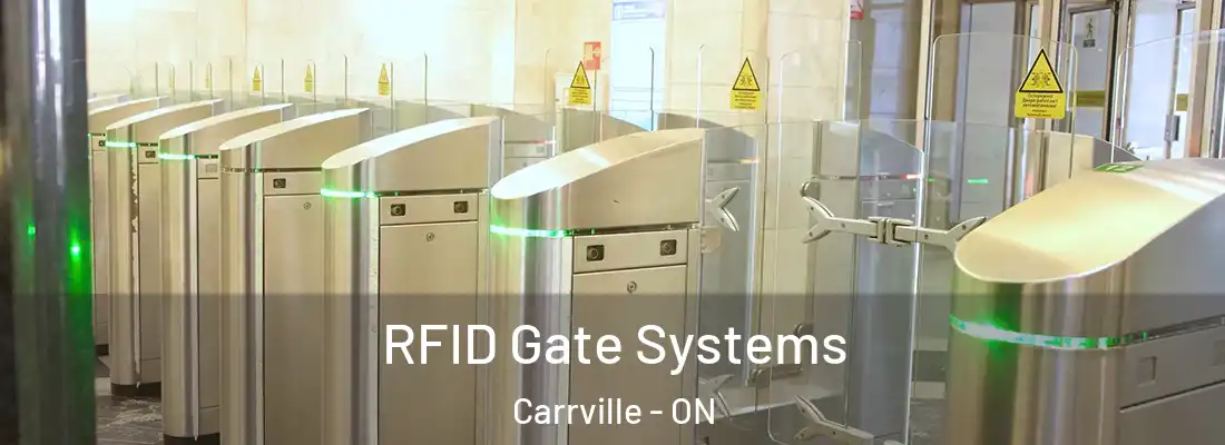  RFID Gate Systems Carrville - ON