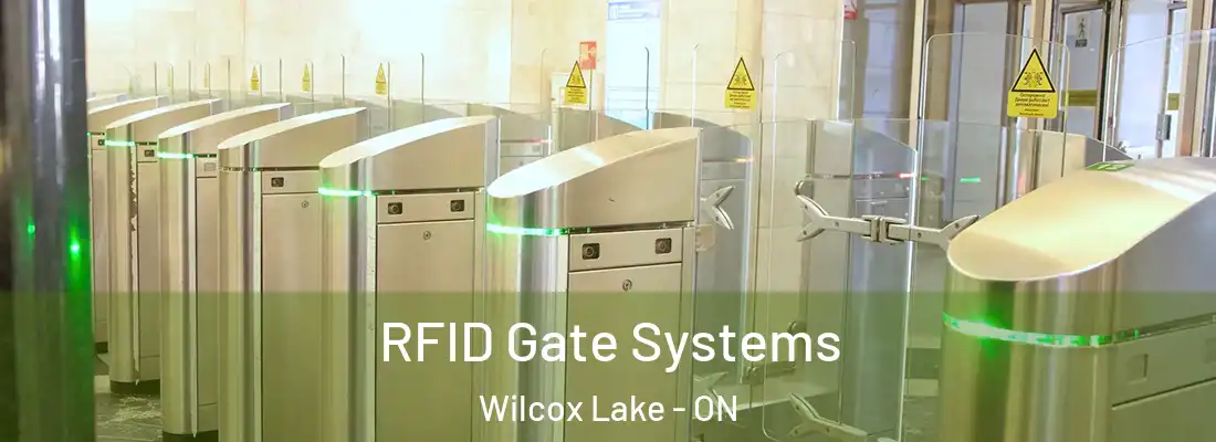  RFID Gate Systems Wilcox Lake - ON