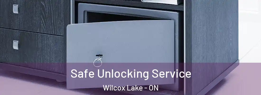  Safe Unlocking Service Wilcox Lake - ON