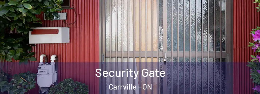  Security Gate Carrville - ON
