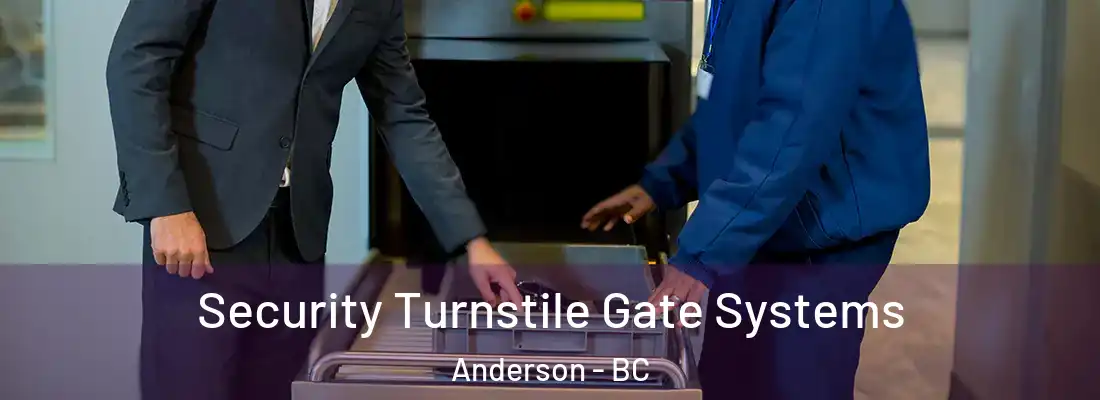  Security Turnstile Gate Systems Anderson - BC