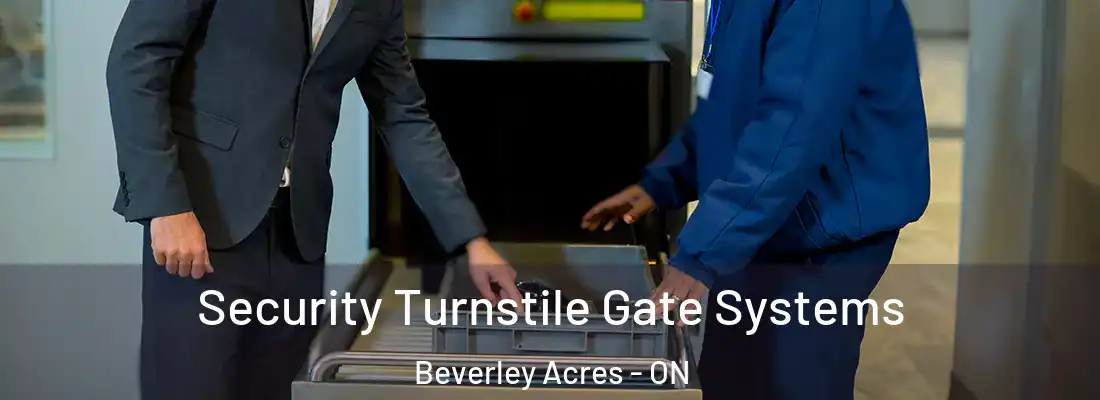  Security Turnstile Gate Systems Beverley Acres - ON