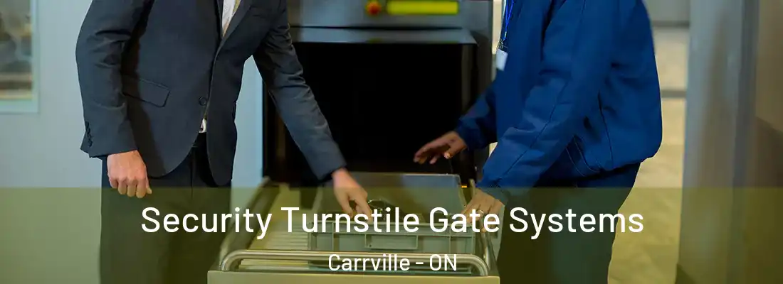  Security Turnstile Gate Systems Carrville - ON