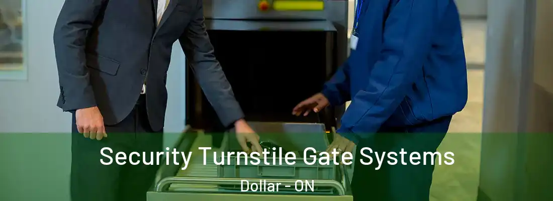  Security Turnstile Gate Systems Dollar - ON