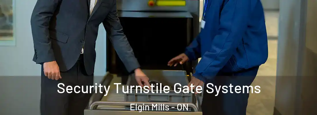  Security Turnstile Gate Systems Elgin Mills - ON