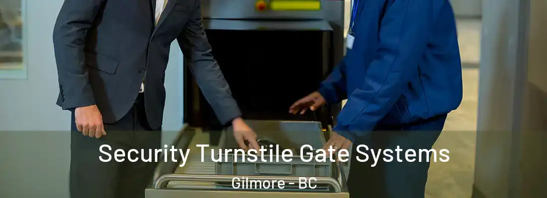  Security Turnstile Gate Systems Gilmore - BC