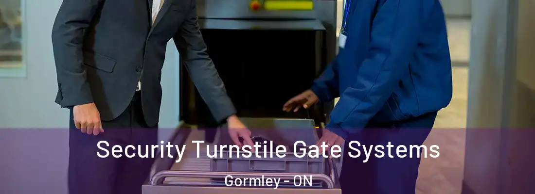  Security Turnstile Gate Systems Gormley - ON
