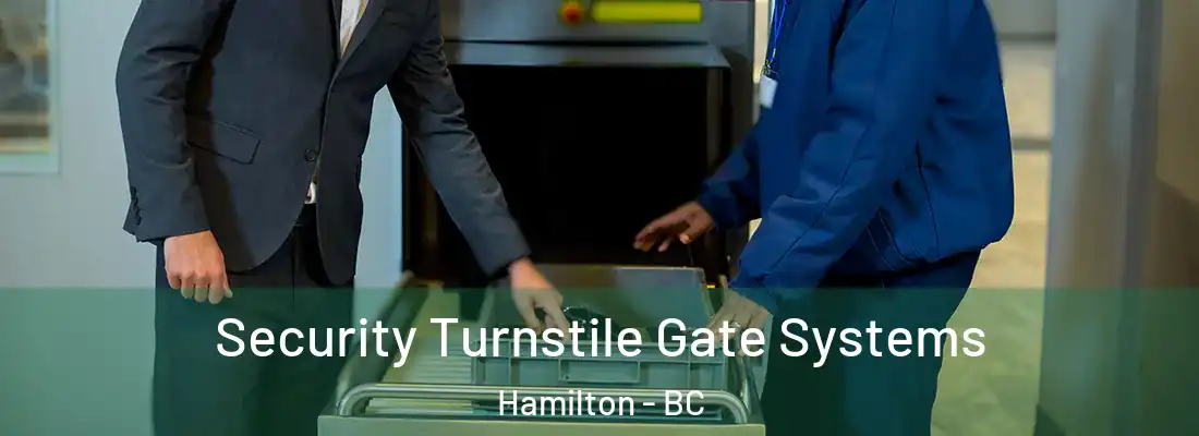  Security Turnstile Gate Systems Hamilton - BC