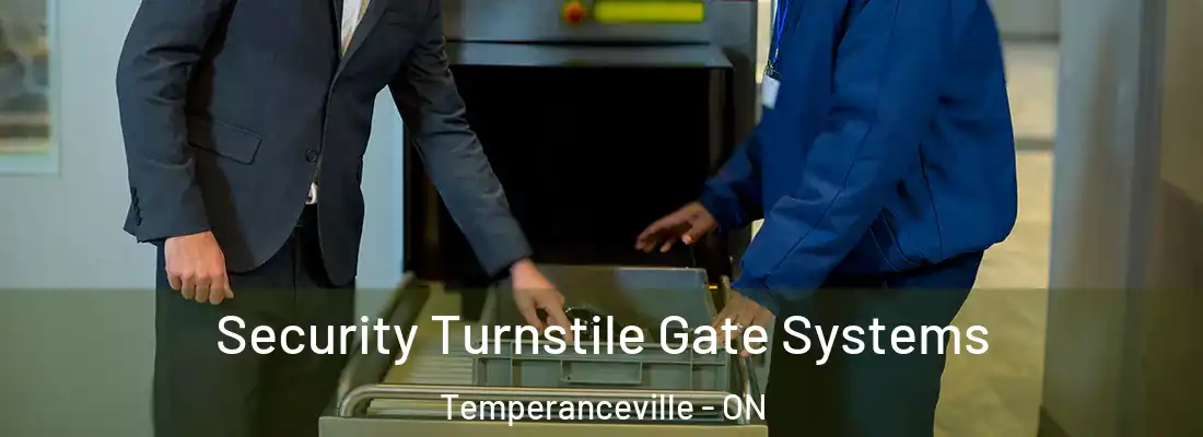  Security Turnstile Gate Systems Temperanceville - ON