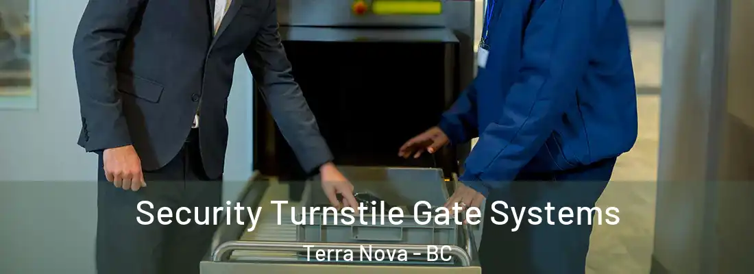  Security Turnstile Gate Systems Terra Nova - BC