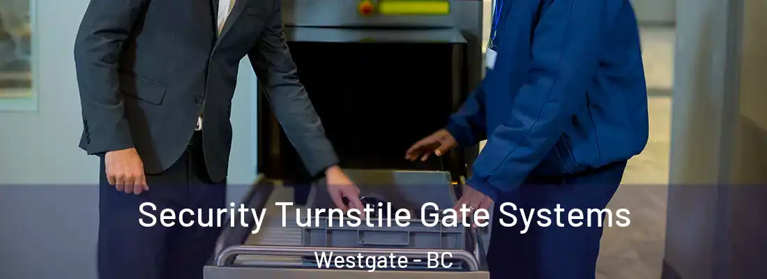  Security Turnstile Gate Systems Westgate - BC