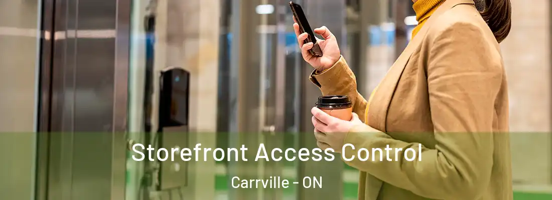  Storefront Access Control Carrville - ON