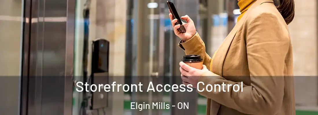  Storefront Access Control Elgin Mills - ON