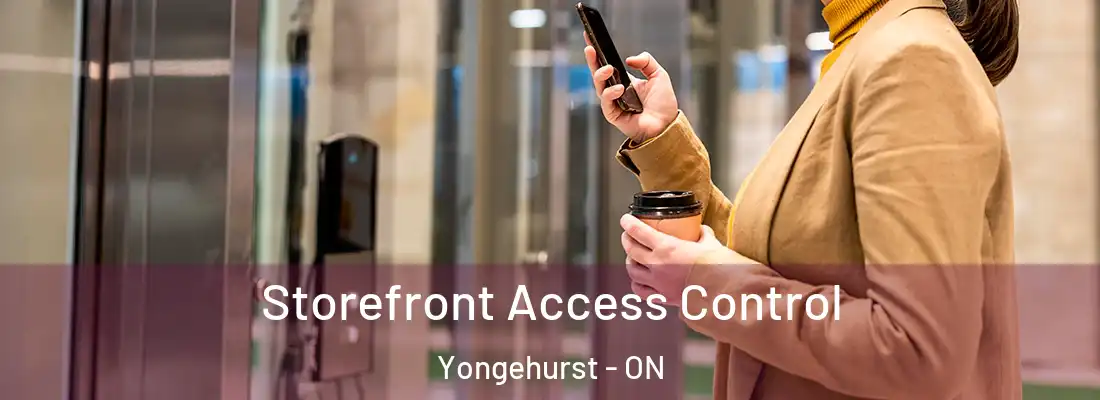  Storefront Access Control Yongehurst - ON
