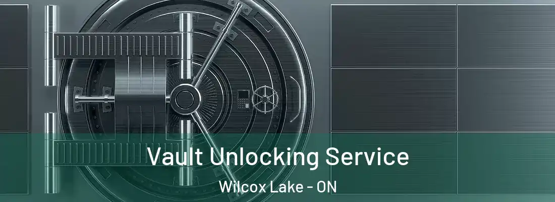  Vault Unlocking Service Wilcox Lake - ON